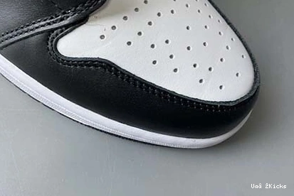 2.0” Jordan 9658 221 3 “Top GoAnywhere High 1 DA2728- SP Air 0612